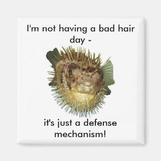 Ik heb geen slechte haardag - magneet