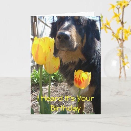 Ik heb gehoord dat het jouw geboorte-grappige kaar kaart (Gele Bloem)