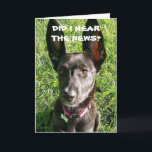 IK HEB 'HEAR' GEHAD DAT JE '18th' BIRTHDAY-KAART B Kaart<br><div class="desc">BEDANKT VOOR EEN VAN MIJN ACHT STORES. GELUKKIG OP EEN SPECIALE 18 JAAR OUD EN EEN "KLEINE DOG MET EEN GROTE HOORZITPLAATS"!!!!</div>