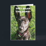 IK HEB 'HEAR' GEHAD DAT JE '18th' BIRTHDAY-KAART B Kaart<br><div class="desc">BEDANKT VOOR EEN VAN MIJN ACHT STORES. GELUKKIG OP EEN SPECIALE 18 JAAR OUD EN EEN "KLEINE DOG MET EEN GROTE HOORZITPLAATS"!!!!</div>