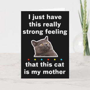 Ik Heb Het Gevoel Dat Deze Kat Mijn Moeder Is Funn Kaart