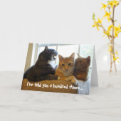 Ik heb het je al honderd keer verteld... kaart (Gele Bloem)