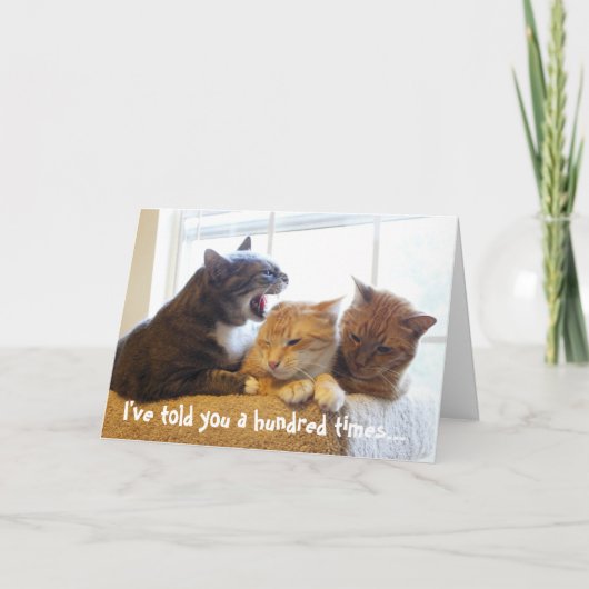 Ik heb het je al honderd keer verteld... kaart (Voorkant)