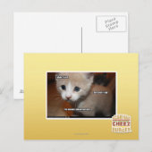 Ik heb het niet gedaan. briefkaart (Voorkant / Achterkant)