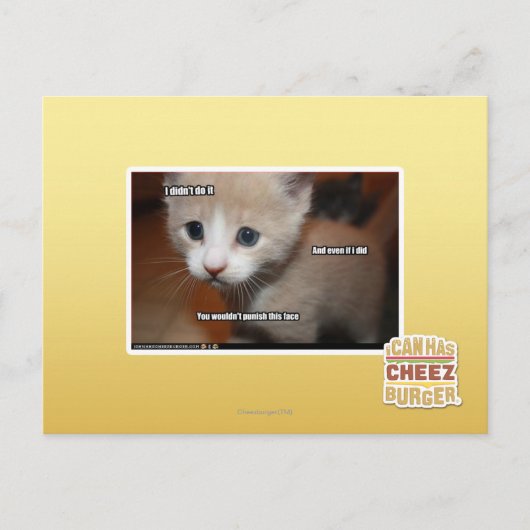 Ik heb het niet gedaan. briefkaart (Voorkant)