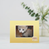 Ik heb het niet gedaan. briefkaart (Staand voorkant)