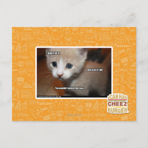 Ik heb het niet gedaan. briefkaart