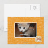 Ik heb het niet gedaan. briefkaart (Voorkant / Achterkant)