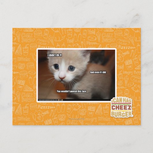 Ik heb het niet gedaan. briefkaart (Voorkant)