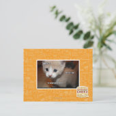 Ik heb het niet gedaan. briefkaart (Staand voorkant)