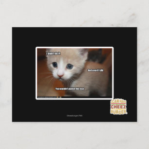 Ik heb het niet gedaan. briefkaart