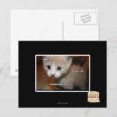 Ik heb het niet gedaan. briefkaart (Voorkant / Achterkant)