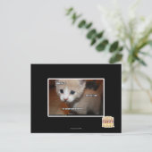 Ik heb het niet gedaan. briefkaart (Staand voorkant)