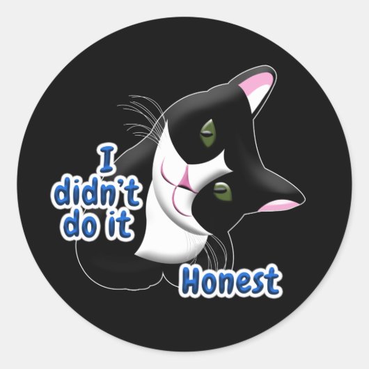 Ik heb het niet gedaan Cat Ronde Sticker (Voorkant)