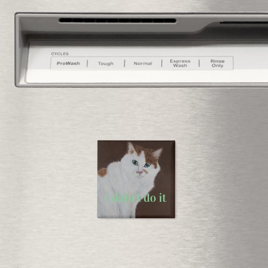 Ik heb het niet gedaan magneet (Insitu (Vaatwasser))