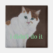 Ik heb het niet gedaan magneet (Voorkant)