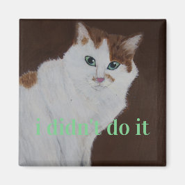 Ik heb het niet gedaan magneet