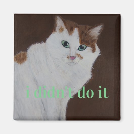 Ik heb het niet gedaan magneet (Voorkant)