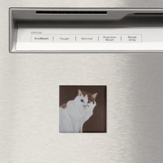 Ik heb het niet gedaan magneet (Insitu (Vaatwasser))