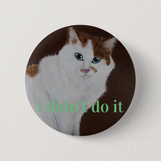 Ik heb het niet gedaan ronde button 5,7 cm (Voorkant)