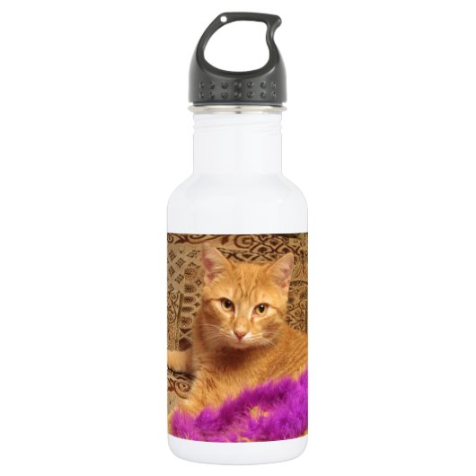 Ik heb het niet gedaan. waterfles  (Voorkant)