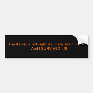 Ik heb het overleefd. bumpersticker