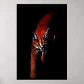 Ik heb het. poster (Voorkant)