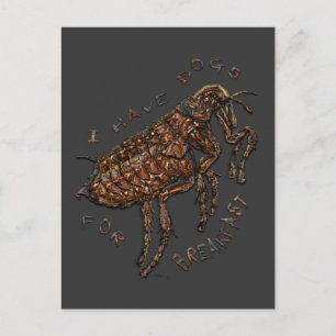 Ik heb honden voor ontbijt briefkaart