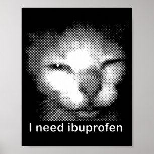 Ik heb Ibuprofen Nodig Kat Meme Grappig Domme Kat  Poster