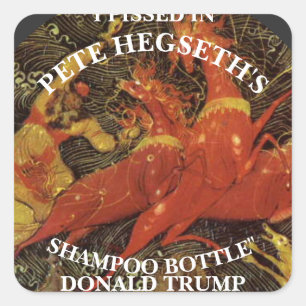 IK HEB IN DE SHAMPOOFLES VAN PETE HEGSETH GEPIEST  VIERKANTE STICKER
