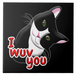 Ik heb je Cat gegeven Tegeltje