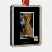 Ik heb je dagboek gelezen metalen ornament (Rechts)