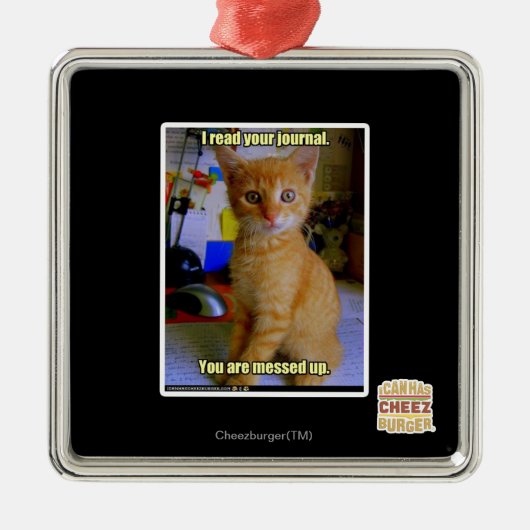 Ik heb je dagboek gelezen metalen ornament (Voorkant)