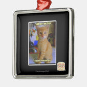 Ik heb je dagboek gelezen metalen ornament (Links)