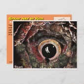 Ik heb je gevonden. briefkaart (Voorkant / Achterkant)