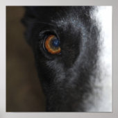 Ik heb je in de gaten - Poster (Voorkant)