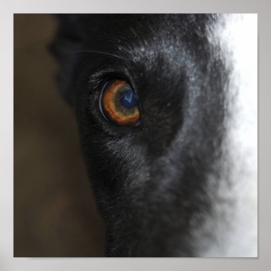 Ik heb je in de gaten - Poster (Voorkant)