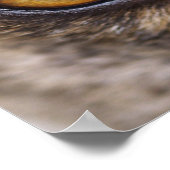 Ik heb je in de gaten! poster (Hoek)