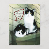 Ik heb je in mijn hart briefkaart (Voorkant)