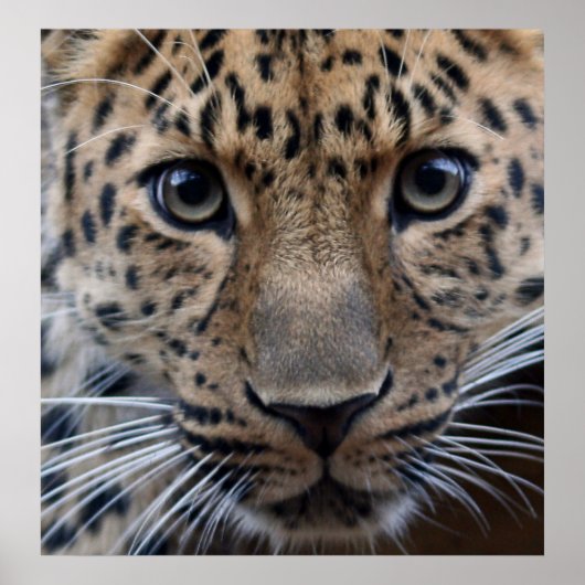 Ik heb je nodig... poster (Voorkant)