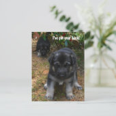 Ik heb je rug. Briefkaart Shepherd Puppy (Staand voorkant)