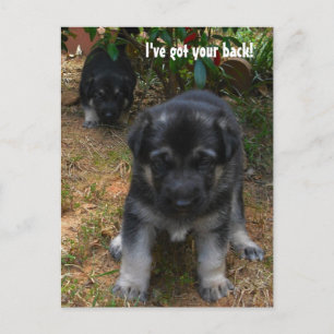 Ik heb je rug. Briefkaart Shepherd Puppy