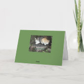 Ik heb je rug, Kittens Kaart (Achterkant)