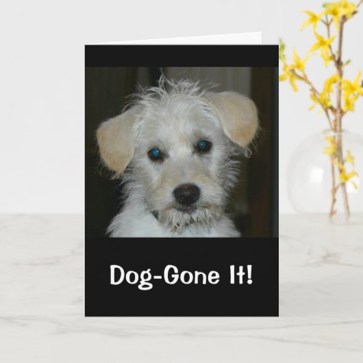 Ik heb je verjaardag gemist. kaart (Gele Bloem)