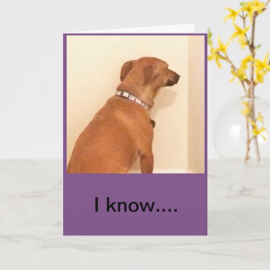 Ik heb je verjaardag gemist, sorry kaart (Gele Bloem)