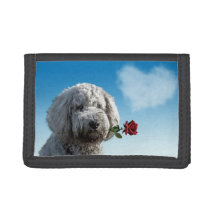 Ik heb jullie fotoWallet gewonnen