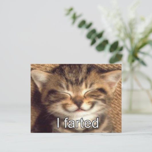 Ik heb kitten briefkaart gescheten (Staand voorkant)