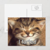 Ik heb kitten briefkaart gescheten (Voorkant / Achterkant)