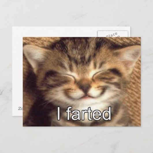 Ik heb kitten briefkaart gescheten (Voorkant / Achterkant)