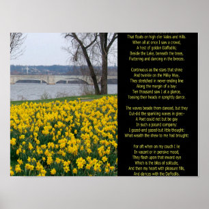 IK HEB LANGZAAM GEWANDERD ALS EEN CLOUD POSTER